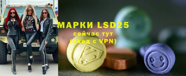 PSILOCYBIN Кукмор